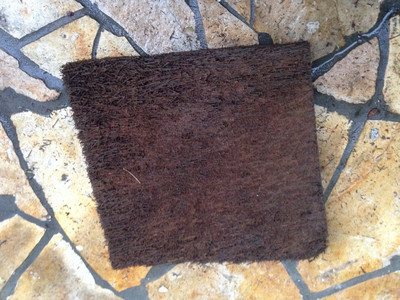 Xaximplatte Baumfarn aus Sdamerika 30x30x2-3cm Rckwand Regenwaldterrarien